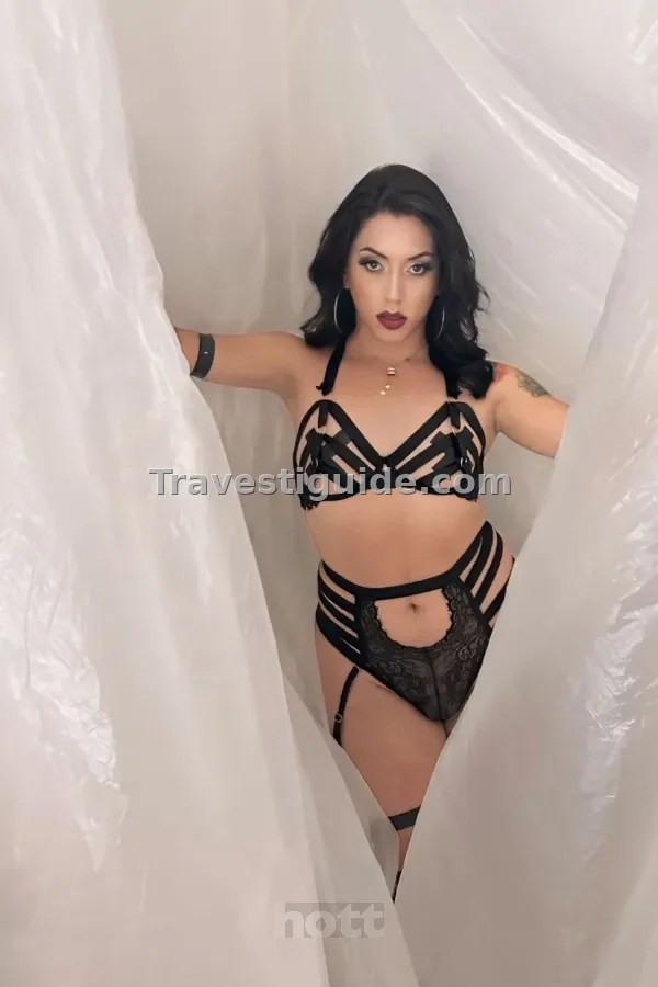 Imagen de Miranda - 4